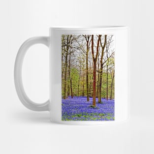 Bluebell Woods Greys Court England UK Mug